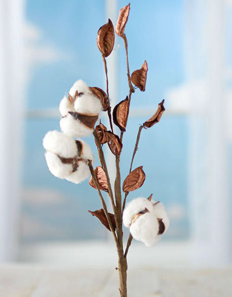 SIPAI Cotton Industries | Indian Raw Cotton Supplier