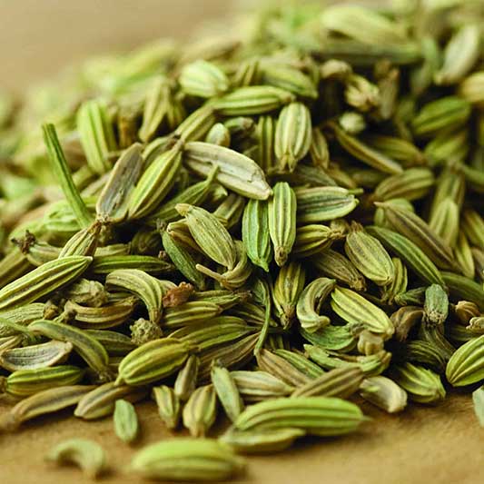 Fennel Seeds from Sipai Group