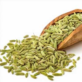 Best Quality Fennel Seeds from Sipai Group