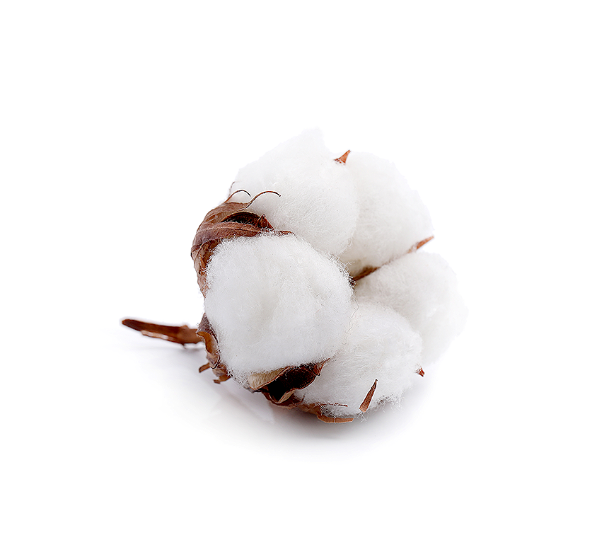 Indian Raw Cotton Supplier | SIPAI Cotton Industries, Wankaner